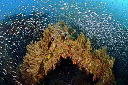 49a2fa182d25387bbdceb5533134199b_이상훈 - 광각 3.jpg